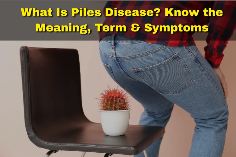 illustration of what is piles disease showing swollen veins in the anus