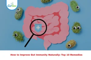 gut immunity