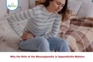 mesoappendix