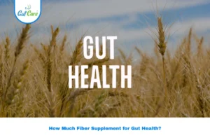 fiber supplement