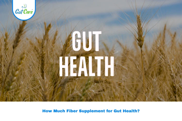 fiber supplement