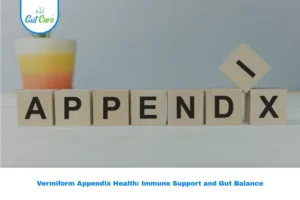 Vermiform Appendix