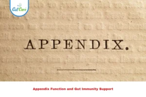 Appendix Function