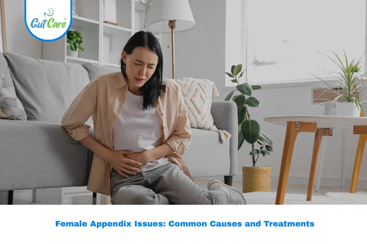female appendix