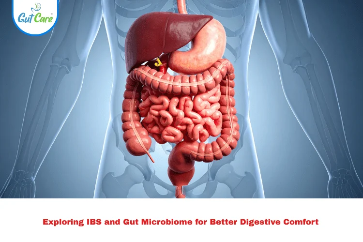 IBS and Gut Microbiome