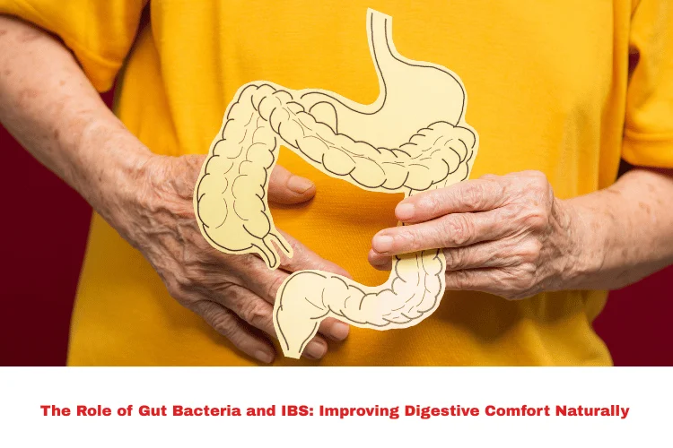 Gut Bacteria and IBS
