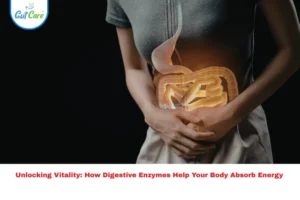 Digestive Enzymes