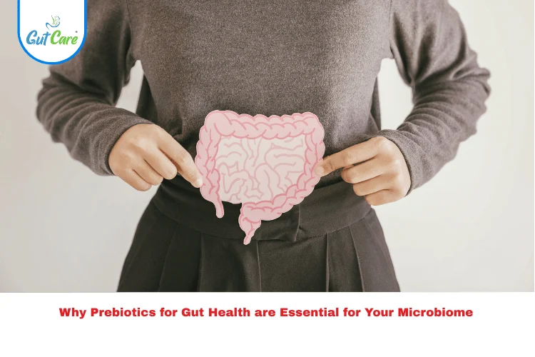 Prebiotics for Gut Health